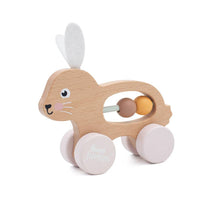 Load image into Gallery viewer, Bunny Baby Gift Set