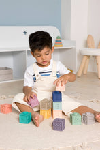 Load image into Gallery viewer, BTL My Discovery Cubes