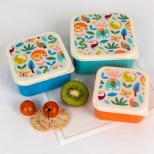 Load image into Gallery viewer, Snack/Lunch Box Wild Wonders (set of 3)