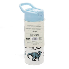 Load image into Gallery viewer, Stainless Steel bottle with push button lid 500ml - Dinosaur