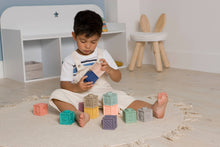 Load image into Gallery viewer, BTL My Discovery Cubes