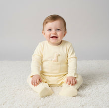 Load image into Gallery viewer, Baby Giraffe Padded Applique All In One