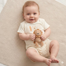 Load image into Gallery viewer, Baby Boys Lion T-Shirt, Shorts &amp;
Plush Toy Set (0-9 Months)