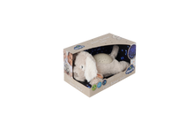 Load image into Gallery viewer, Cloud B Dream Buddies®  Nightlight Proj - Patch the Puppy