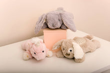 Load image into Gallery viewer, Cloud B Dream Buddies® Nightlight Proj - Benny the Bunny