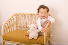 Load image into Gallery viewer, Cloud B Sleep Sheep On The Go® Sound/Sleeping Aid