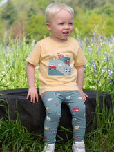 Load image into Gallery viewer, County Show Leggings