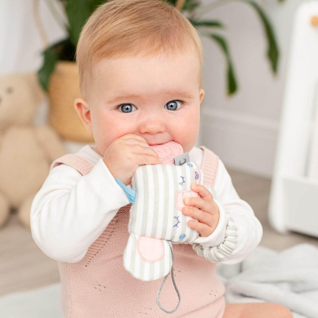 Cheeky Chompers Handychew Baby Animal - Darcy the Elephant