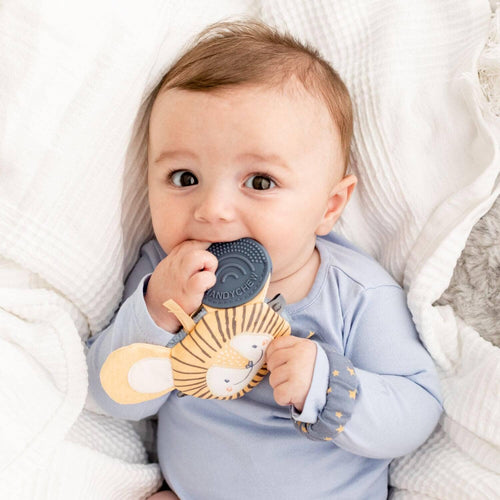 Cheeky Chompers Handychew Baby Animal - Bertie the Lion