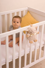 Load image into Gallery viewer, Cloud B Sleep Sheep On The Go® Sound/Sleeping Aid