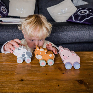 Pig Push Toy