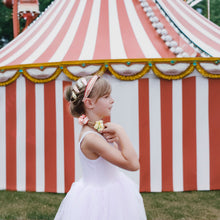 Load image into Gallery viewer, Stripy Star Fabric Clip Set