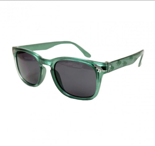 Dinosaur Sunglasses
