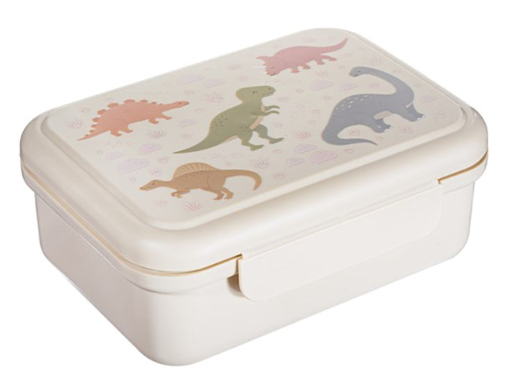 Desert Dino lunch box