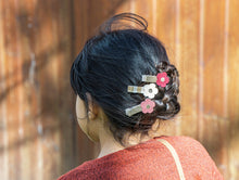 Load image into Gallery viewer, Prairie Flower Bar Clips