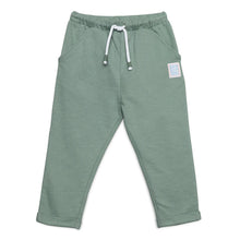 Load image into Gallery viewer, Baby Boys Dinosaur Applique Joggers