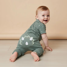 Load image into Gallery viewer, Baby Boys Dinosaur Applique Joggers