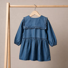 Load image into Gallery viewer, Baby Girls Floral Embroidered Denim Dress