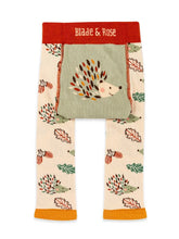 Load image into Gallery viewer, Lenny The Hedgehog Leggings