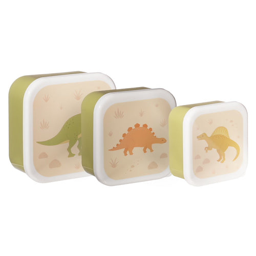 Desert Dino set 3 lunch box