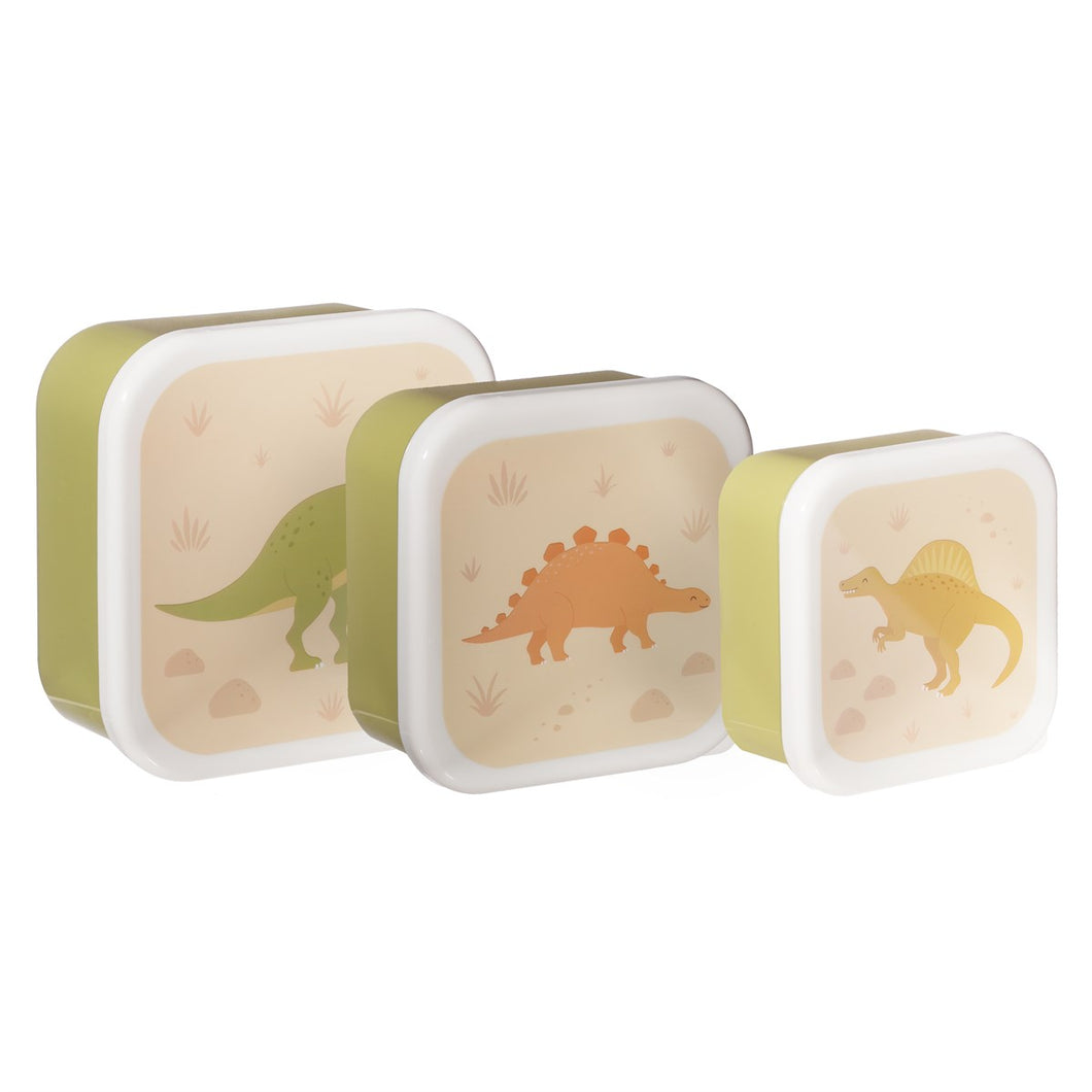 Desert Dino set 3 lunch box