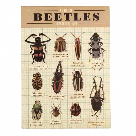 A Guide to Beetles Temporary Tattoos