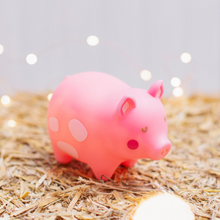 Load image into Gallery viewer, Oink The Piglet Night Light