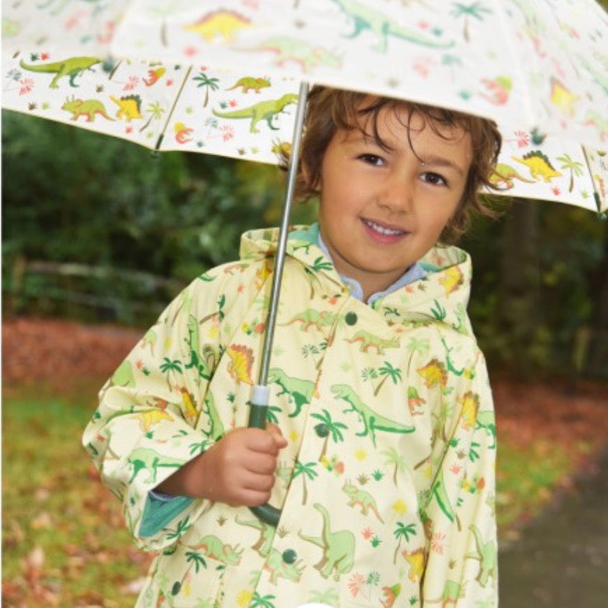 Dinosaur Raincoat